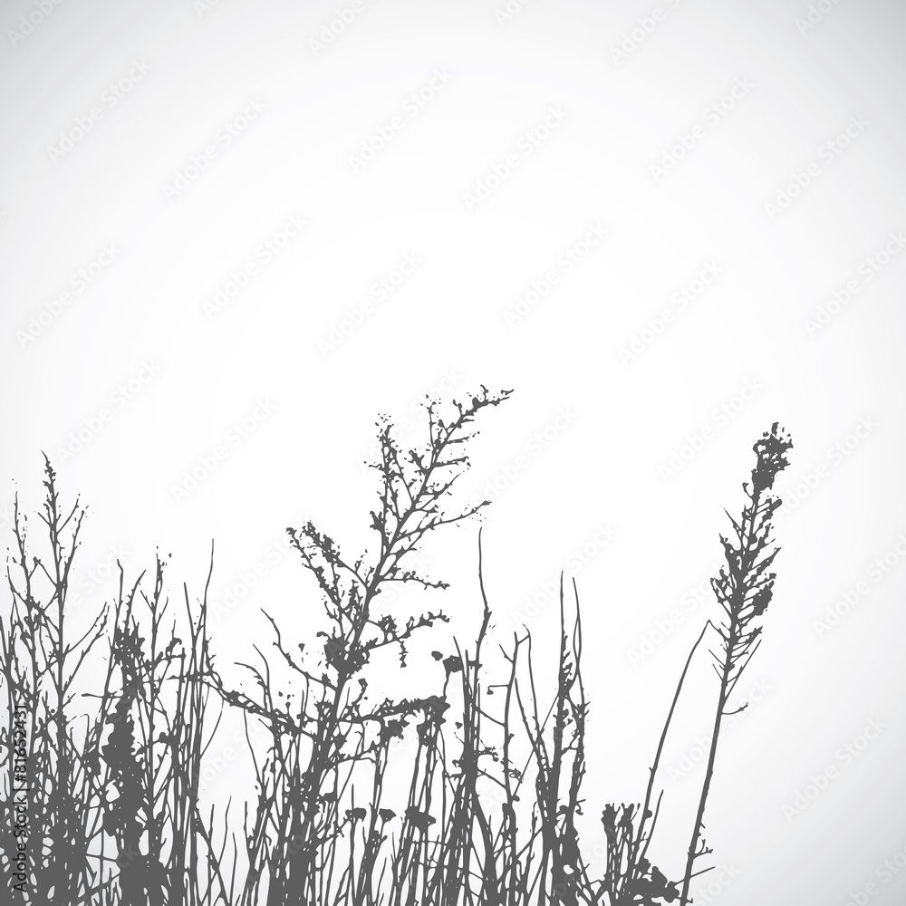Obraz premium Vector wild herbs