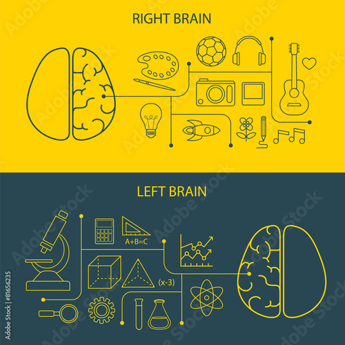 left and right brain functions concept