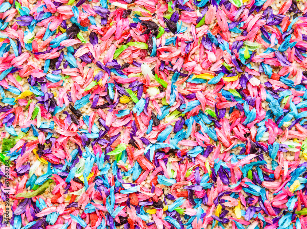 Fototapeta premium Płatki kwiatowe tło