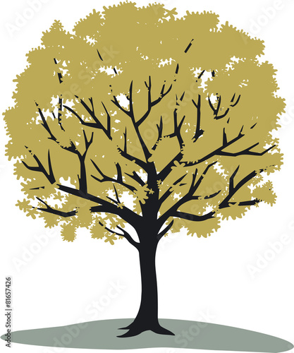Tree vector illustration