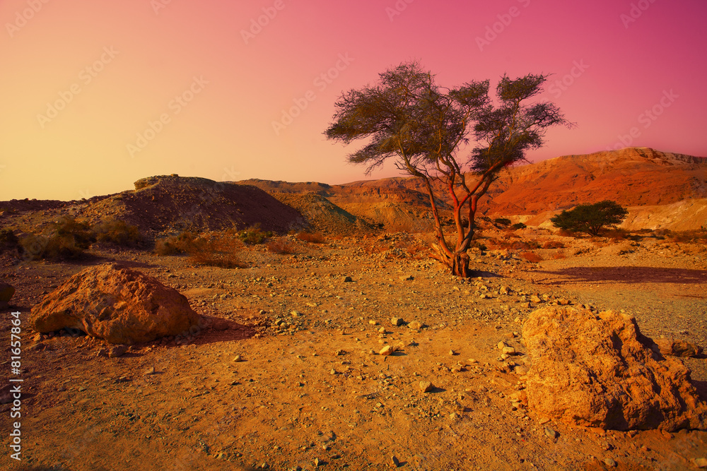 Sunrise over desert in Israel