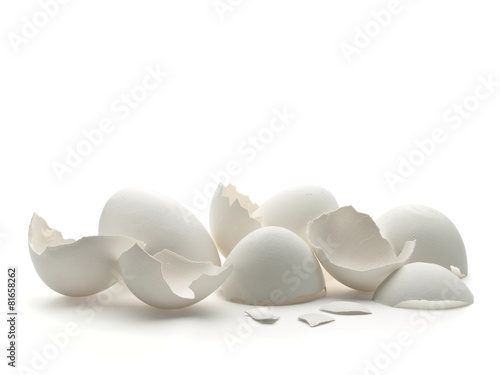 White, egg shell on a white background