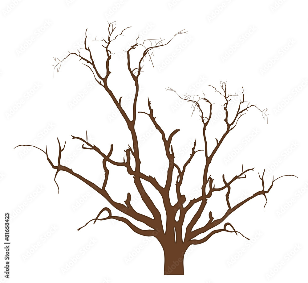 Dry Tree Design Vector Illustration Dry Tree Design Vector Illustration