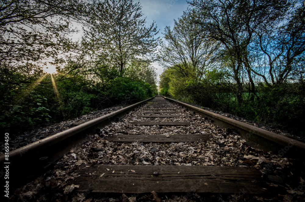 Fototapeta premium Train to Past