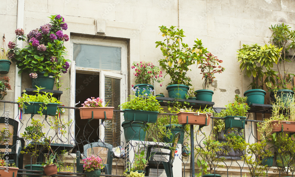 Obraz premium Flowers on the terrace