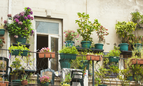 Fototapeta Naklejka Na Ścianę i Meble -  Flowers on the terrace