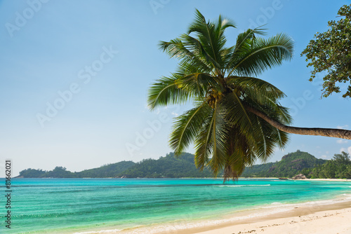 Tropical beach at Mahe island Seychelles © dvoevnore