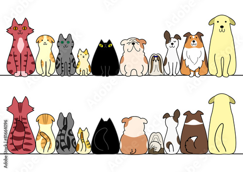 犬　猫　一列　正面　背面　コピースペース セット