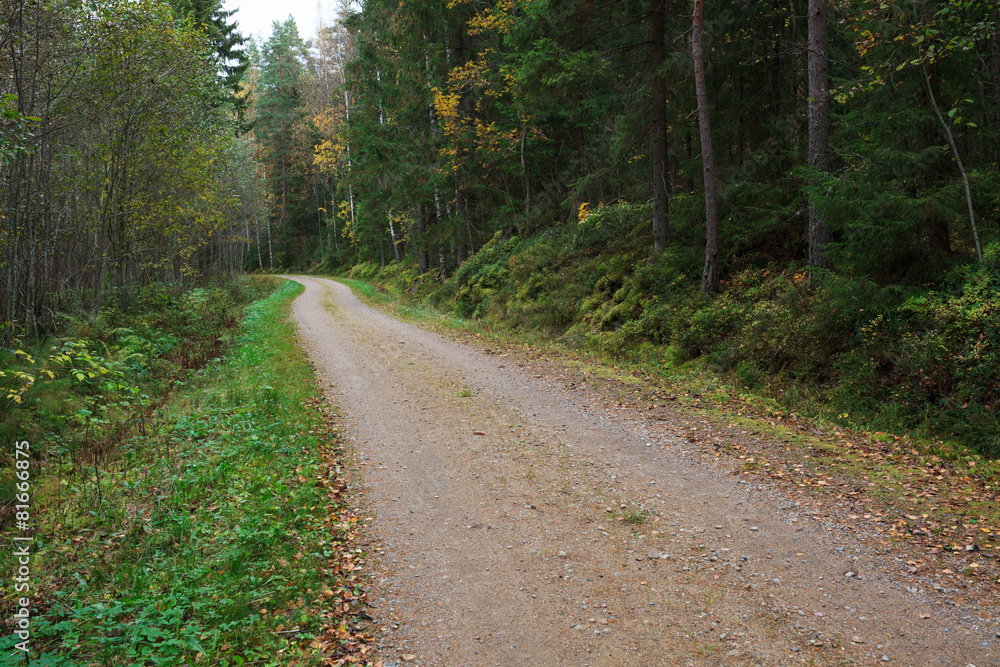 Fototapeta premium Rural small gravel road in finland