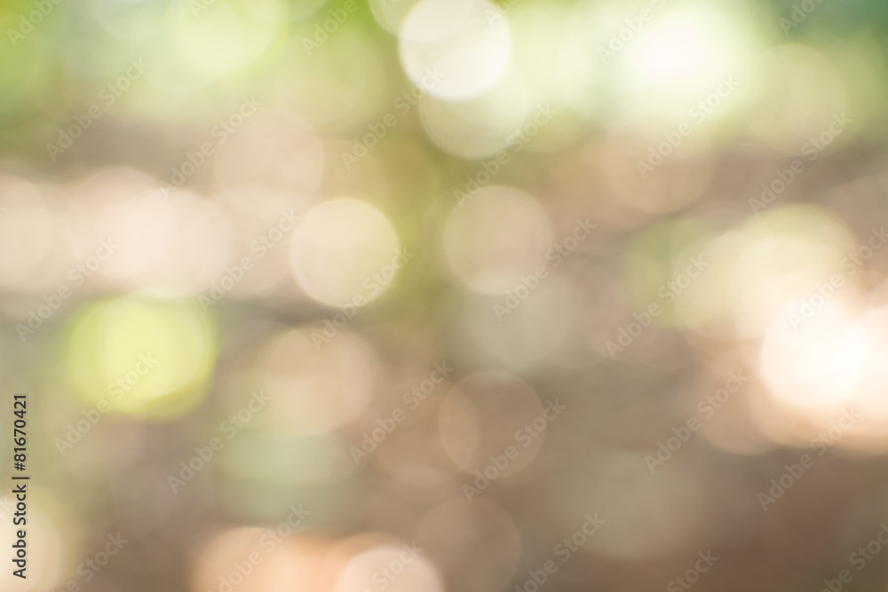 Obraz premium Sunny abstract green nature background, selective focus