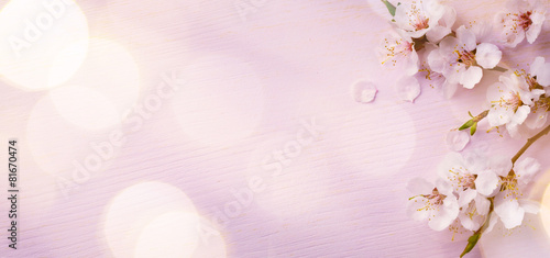 Art  Spring border background with pink blossom