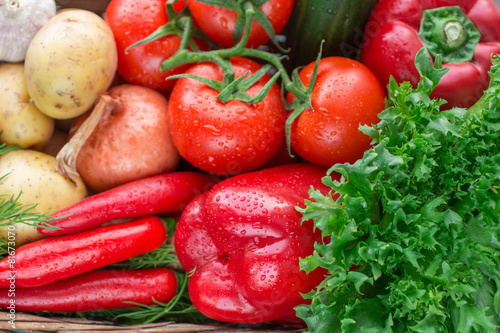 Fresh vegetables in basket