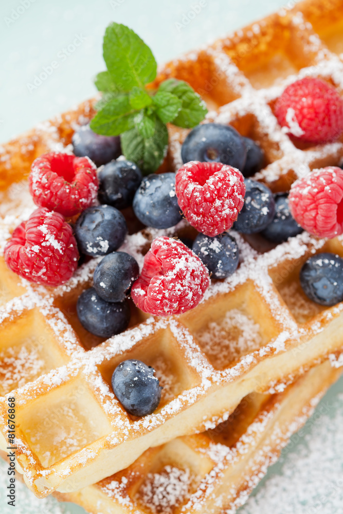 Fresh homemade brussels waffle with berries Fresh homemade brussels waffle with berries