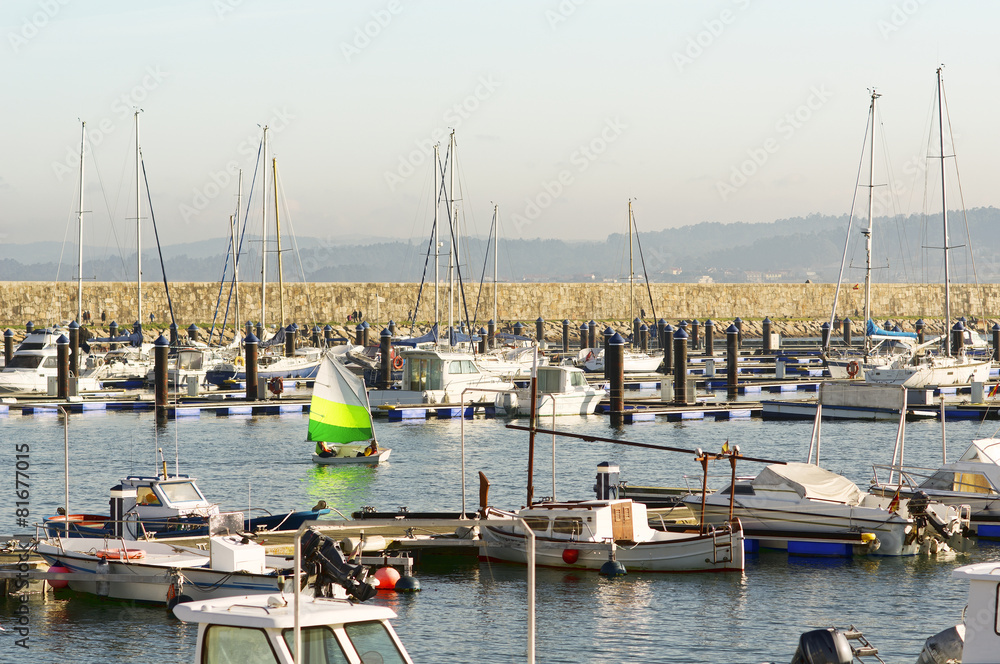 Obraz premium child learn to sail on optimist sailboat in the marina