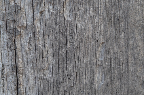 Grunge Wooden Texture used as background 