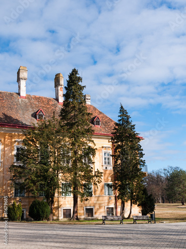 Castle behind the trees