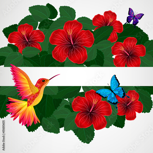 Floral design background. Hibiscus flowers with bird.