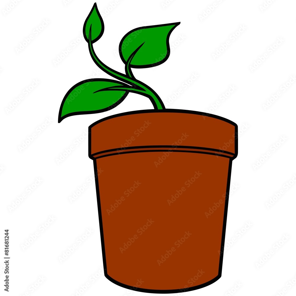 Potted Plant