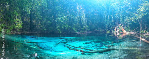 Emerald blue Pool. Krabi, Thailand. photo