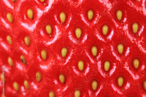 Wallpaper Mural strawberries background Torontodigital.ca