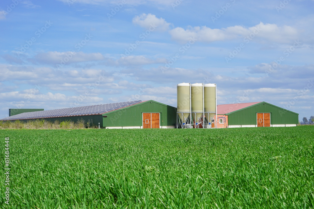 Geflügelwirtschaft - moderne Stallanlage für die Hänchenmast Geflügelwirtschaft - moderne Stallanlage für die Hänchenmast