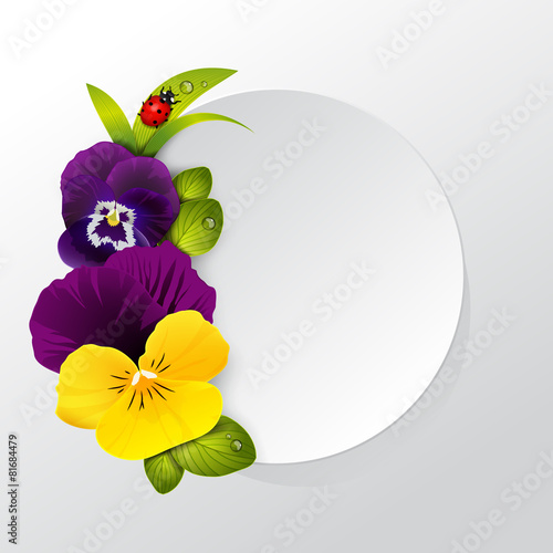 Frame of naturalistic pansy flower with leaves, grass and