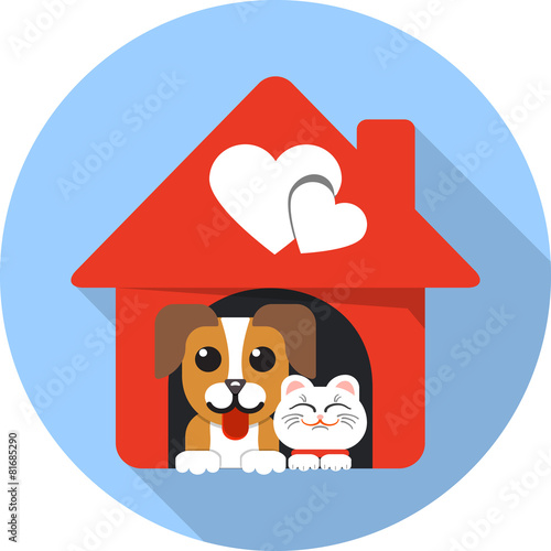Friends - Small Dog and Cat Together
