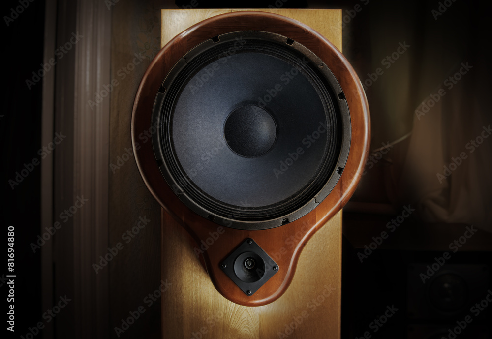 Natural wood sound system - oak tree body and yew tree front Natural wood sound system - oak tree body and yew tree front