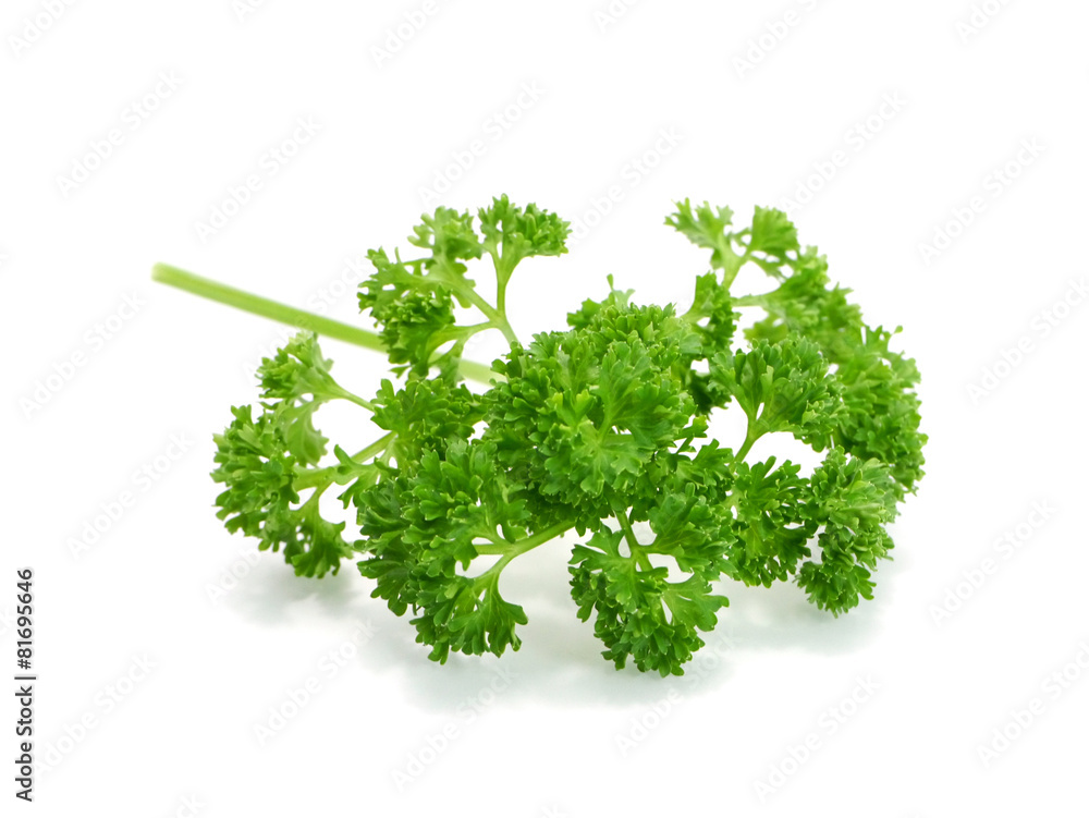 Obraz premium green leaves of parsley isolated on white background