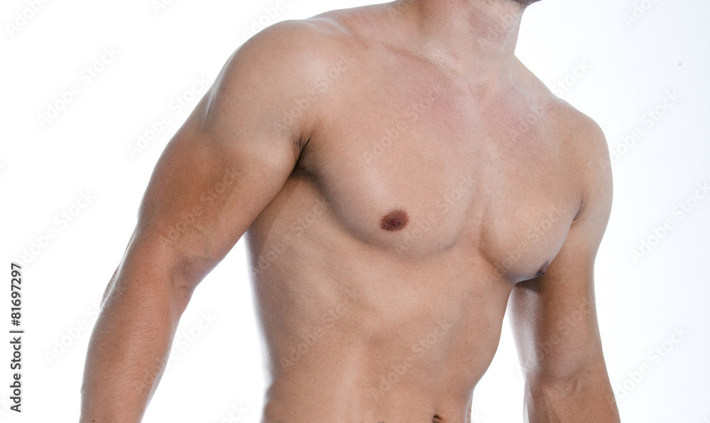 muscular male torso muscular male torso