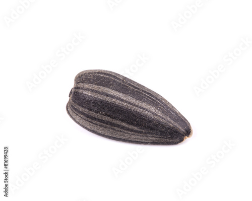 Wallpaper Mural sunflower seed Torontodigital.ca