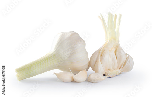 Garlic on a white background