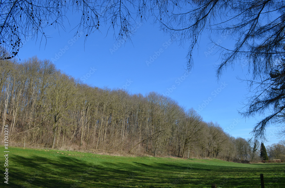 Agricultural field lined by forests in Huldenberg