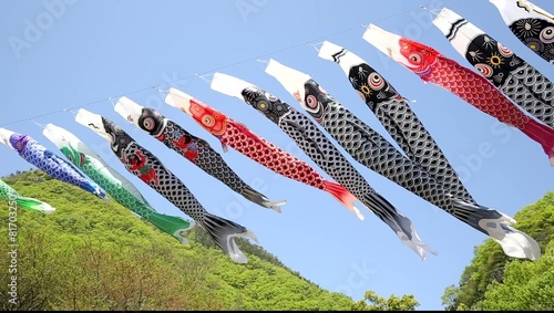 鯉のぼり