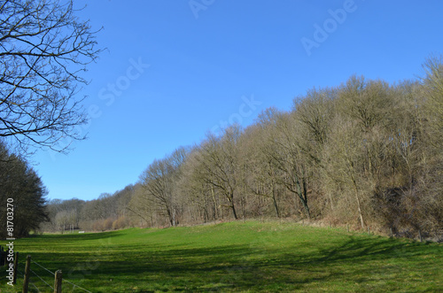 Agricultural field lined by forests in Huldenberg
