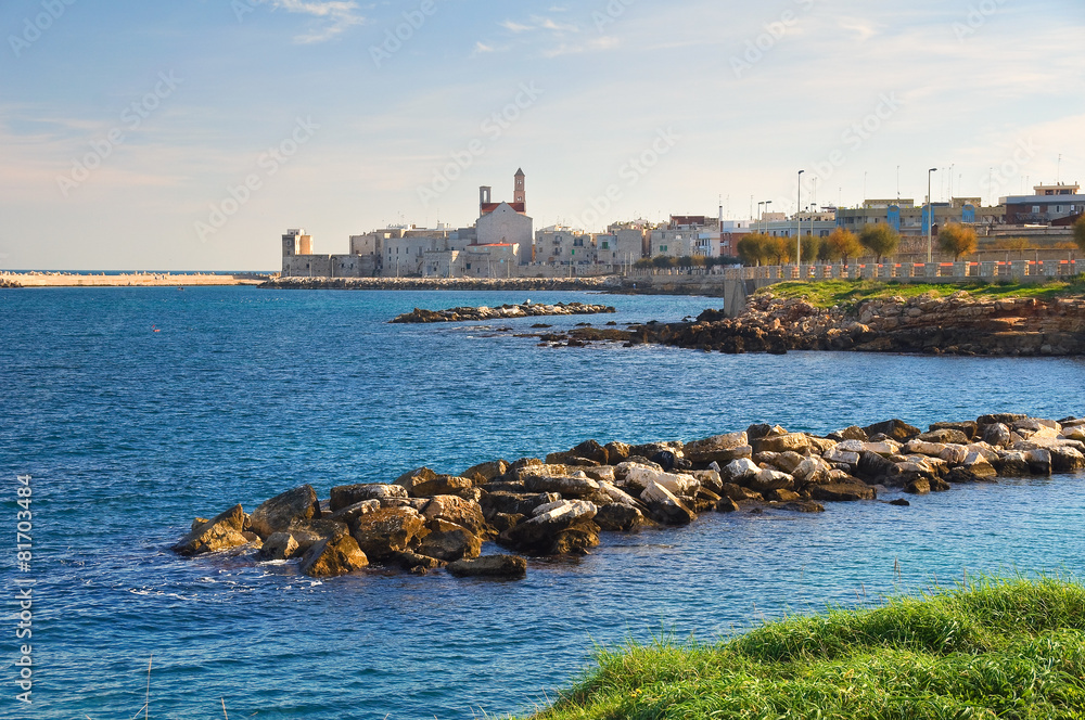 Panoramic view of Giovinazzo. Puglia. Italy. Panoramic view of Giovinazzo. Puglia. Italy.