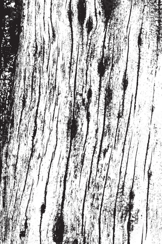 Vertical Dry Wood Texture