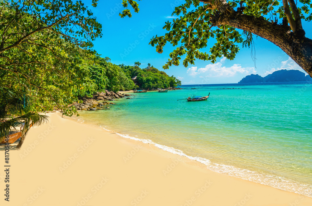 Exotic beautiful beach with white sand and blue ocean - obrazy, fototapety, plakaty 