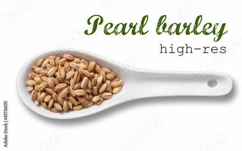 Pearl barley in white porcelain spoon  photo