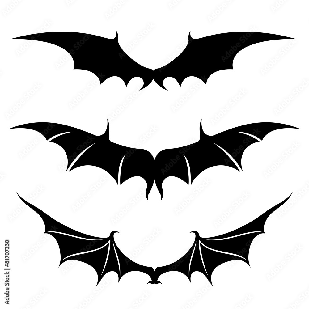 Naklejka premium Vector set. Wings.