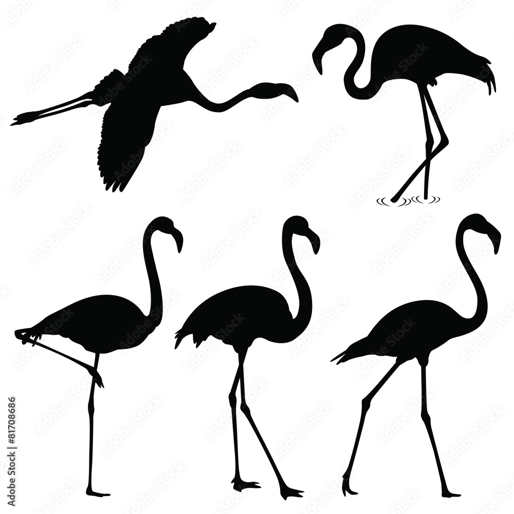 Obraz premium flamingo silhouettes