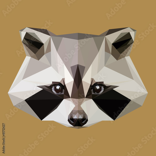 Low poly raccoon vector