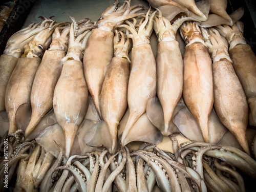 Fresh squid on the seafood market