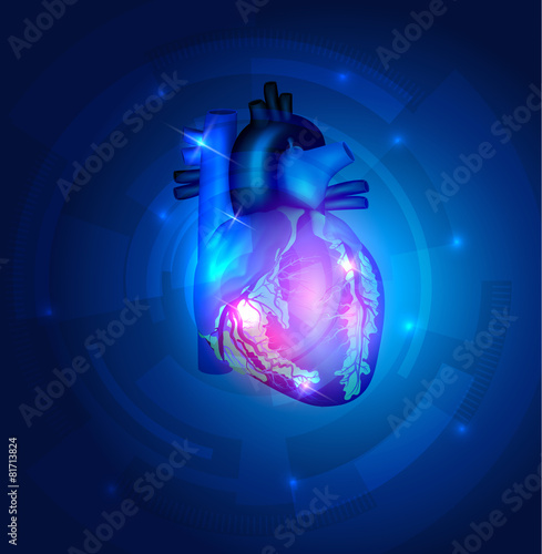Heart anatomy on a beautiful blue technology background