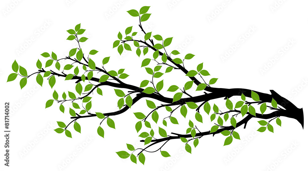 Obraz premium Sylwetka gałęzi drzewa, grafika wektorowa