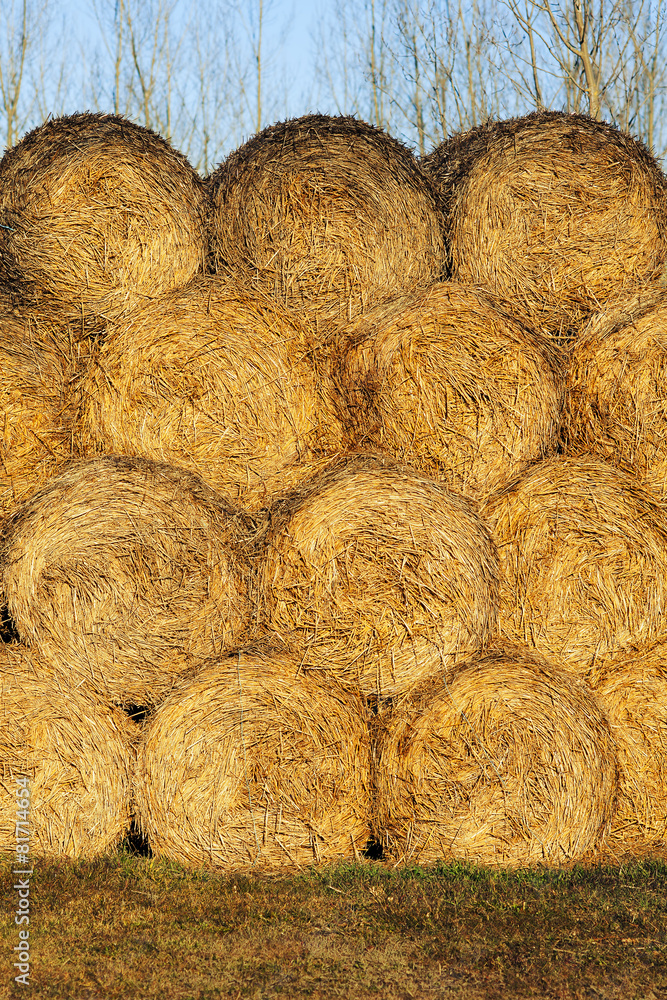 straw bales stacked on the field straw bales stacked on the field