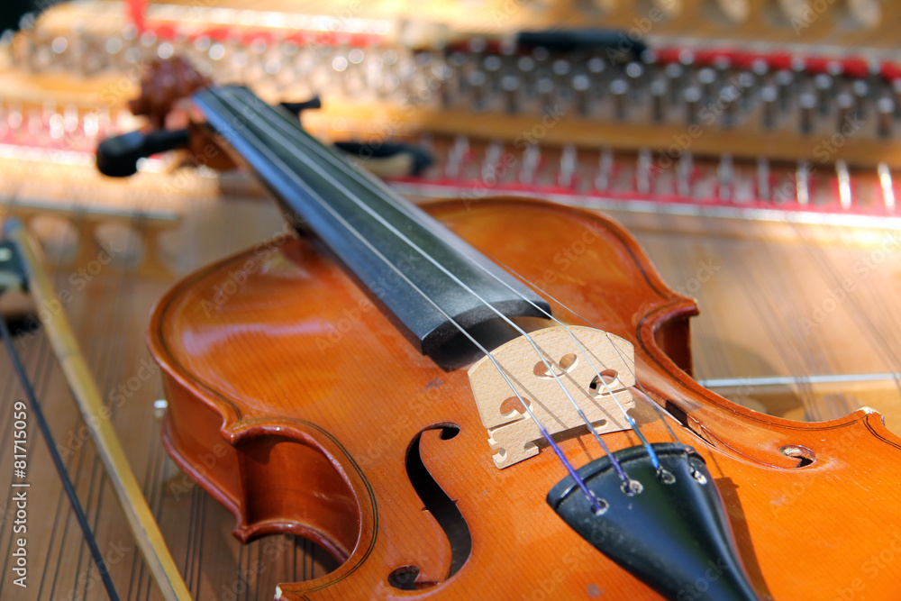Fototapeta premium stringed instrument/stringed bowed musical instrument 