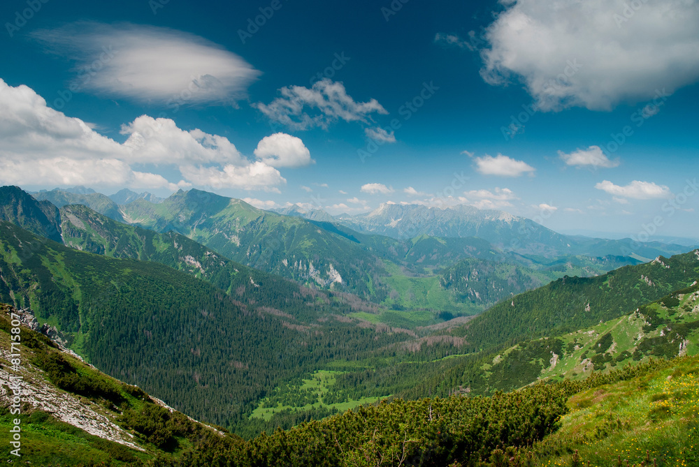 View into a valley in Tatra mountines