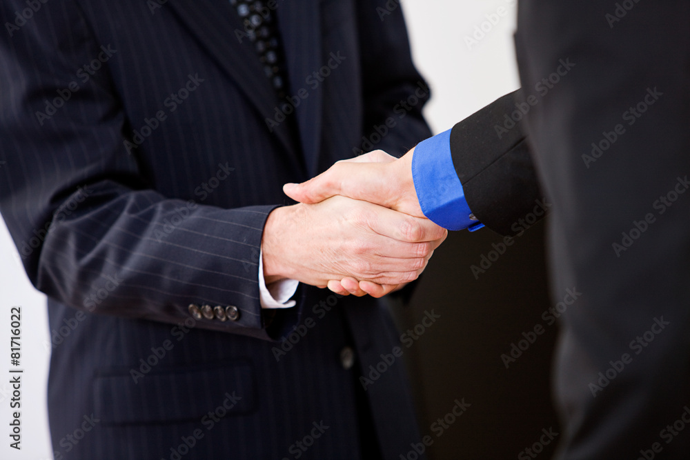 Business: Anonymous Men Shaking Hands Business: Anonymous Men Shaking Hands