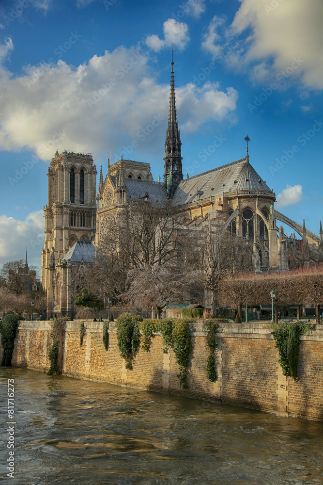 Cathedrale notre dame de Paris